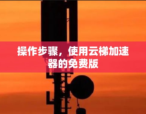 操作步骤,使用云梯加速器的免费版