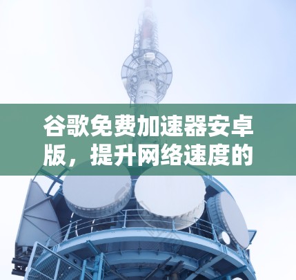 谷歌免费加速器安卓版，提升网络速度的高效解决方案