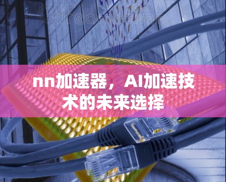 nn加速器,AI加速技术的未来选择