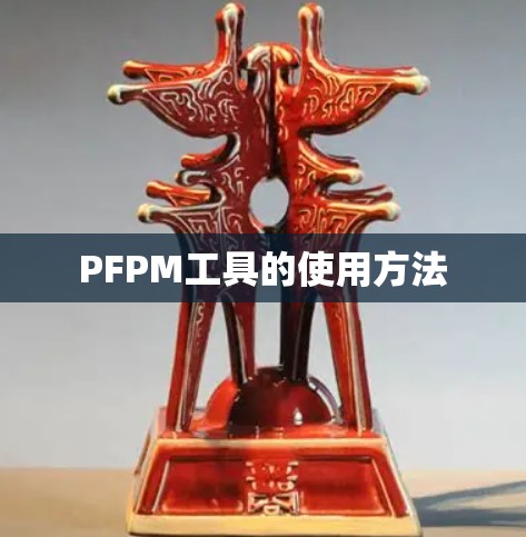 PFPM工具的使用方法