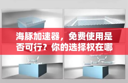 海豚加速器，免费使用是否可行？你的选择权在哪里？