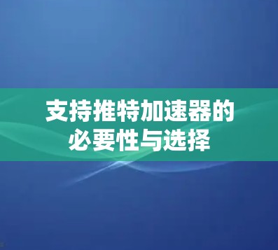 支持推特加速器的必要性与选择