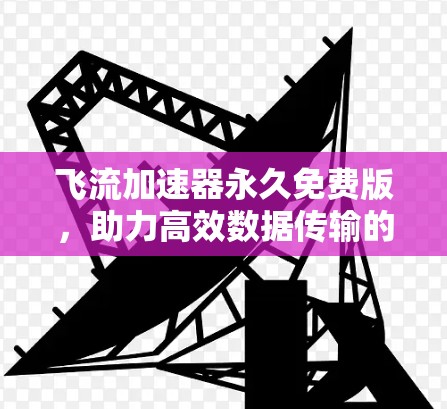 飞流加速器永久免费版,助力高效数据传输的网络加速解决方案