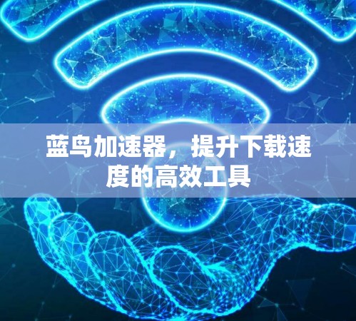 蓝鸟加速器,提升下载速度的高效工具