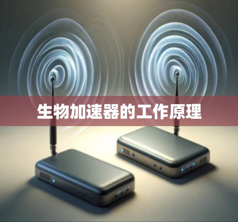 生物加速器的工作原理