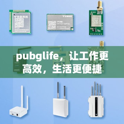 pubglife,让工作更高效,生活更便捷 pubglife,让工作更高效,生活更便捷