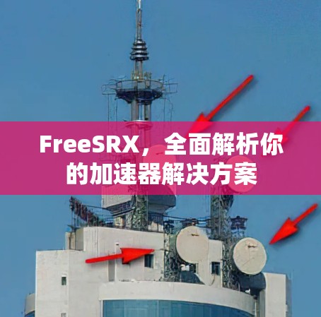 FreeSRX，全面解析你的加速器解决方案