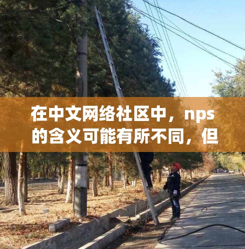 在中文网络社区中,nps 的含义可能有所不同,但常见的使用场景可能是寻找一个非线性加速器或非线性系统分析工具。以下是一些可能的推荐