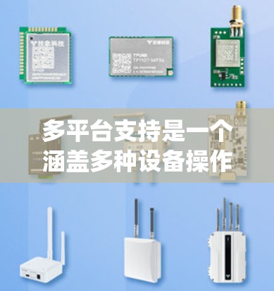 多平台支持是一个涵盖多种设备操作系统和应用的生态系统，提供了灵活的管理方式和用户体验。以下是对多平台支持的总结