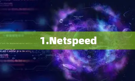 1.Netspeed