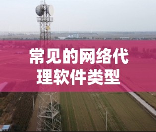常见的网络代理软件类型