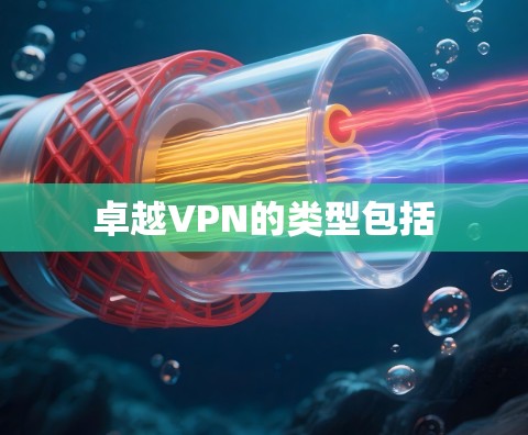 卓越VPN的类型包括