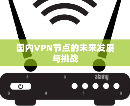 国内VPN节点的未来发展与挑战