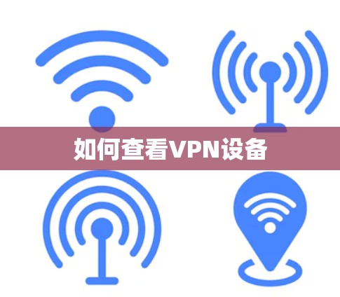 如何查看VPN设备