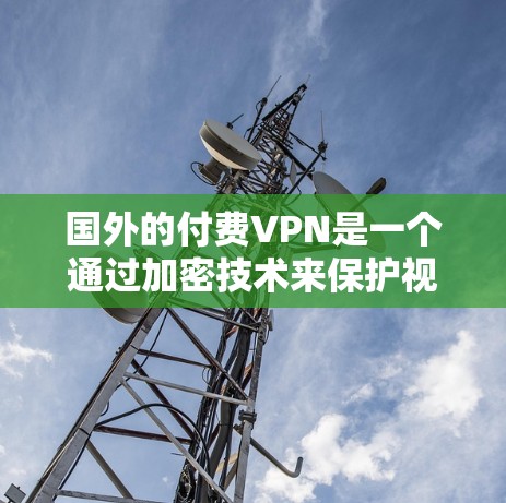 国外的付费VPN是一个通过加密技术来保护视频内容传输的网络服务。这些VPN通常需要额外的费用来使用，但提供了更安全的视频传输体验。以下是国外付费VPN的一些常见服务类型和使用方法