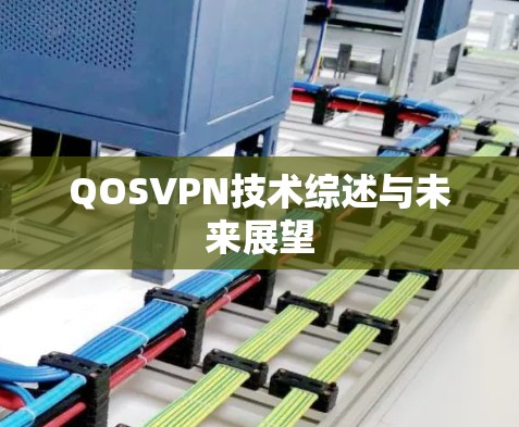 QOSVPN技术综述与未来展望