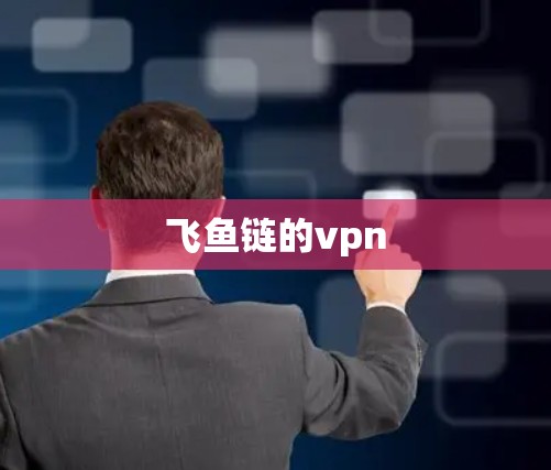 飞鱼链的vpn