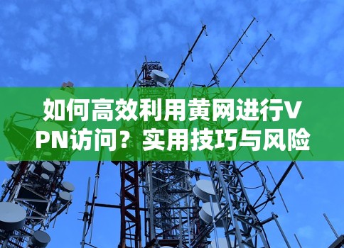 如何高效利用黄网进行VPN访问？实用技巧与风险防范