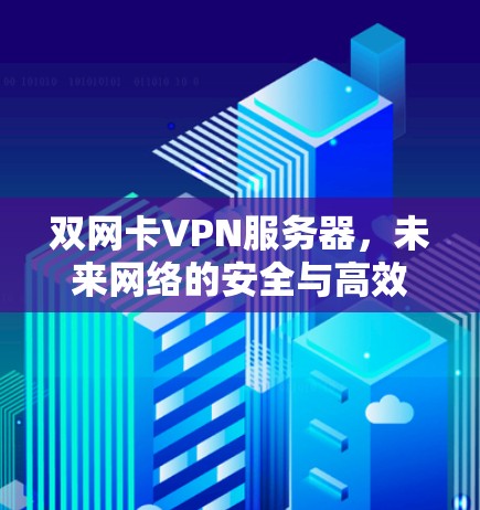 双网卡VPN服务器，未来网络的安全与高效连接