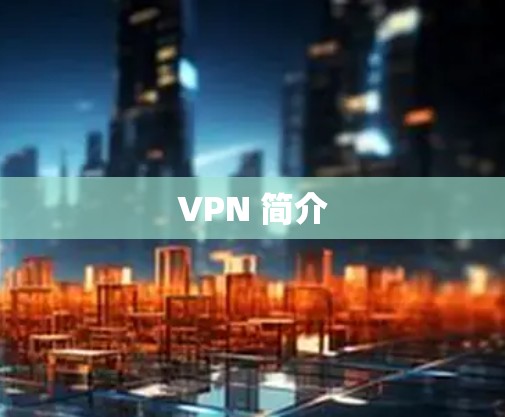 VPN 简介