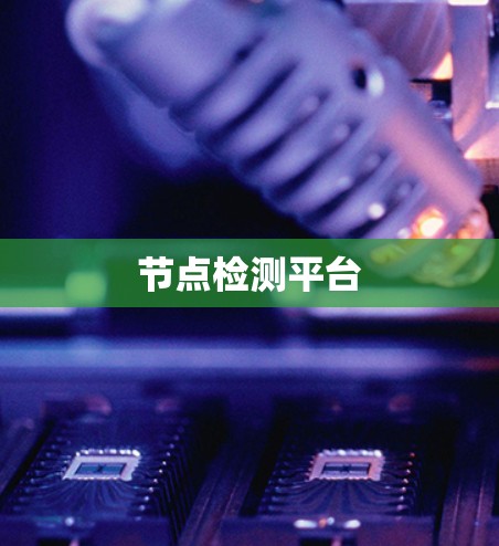 节点检测平台