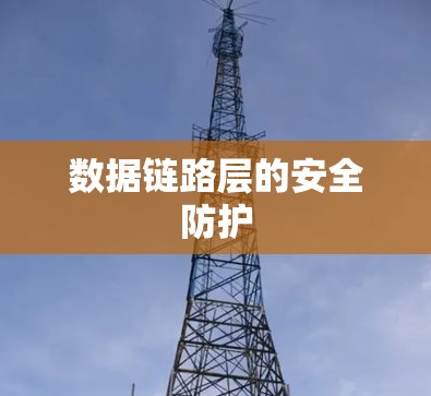 数据链路层的安全防护