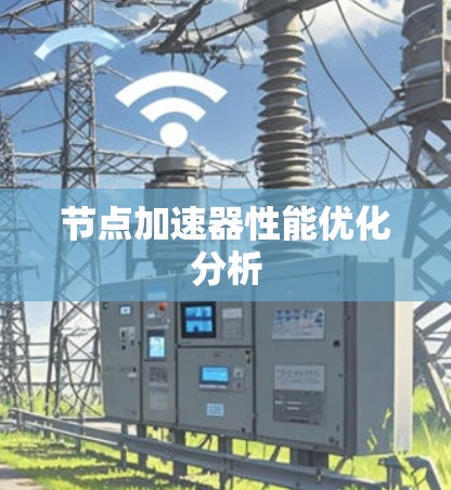 节点加速器性能优化分析 节点加速器性能优化分析