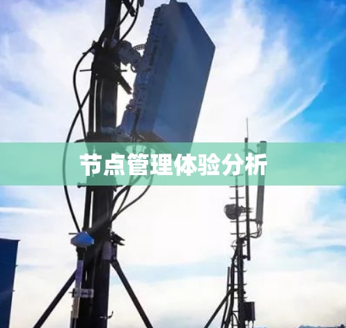 节点管理体验分析