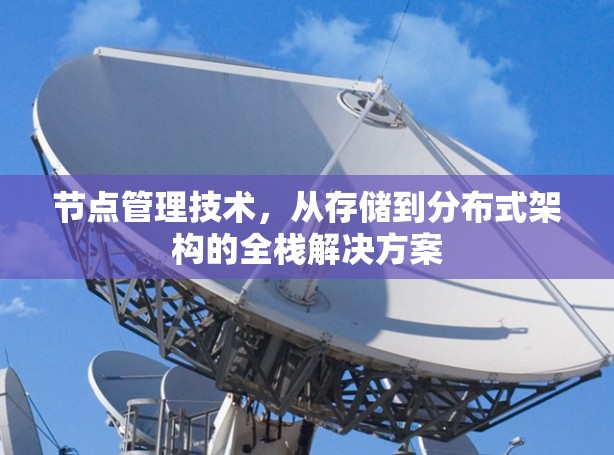 节点管理技术，从存储到分布式架构的全栈解决方案