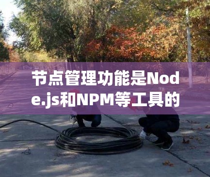 节点管理功能是Node.js和NPM等工具的重要组成部分，用于管理节点的创建、启动、配置、监控和权限管理等任务。以下是详细的步骤，帮助您全面掌握节点管理功能