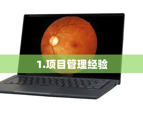1.项目管理经验