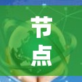 节点管理服务器测试，掌握服务器性能的关键技能