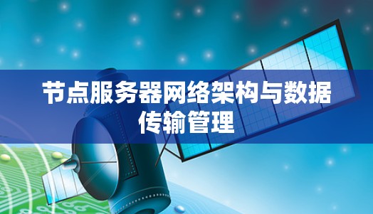 节点服务器网络架构与数据传输管理
