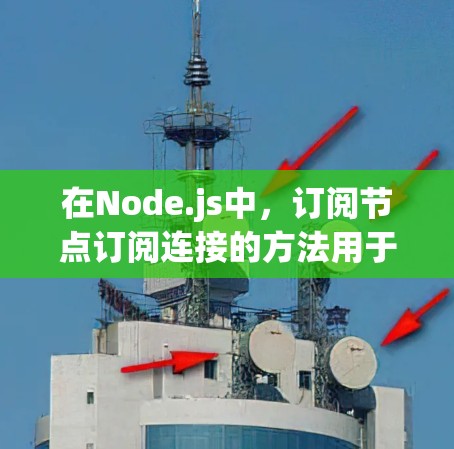在Node.js中，订阅节点订阅连接的方法用于检测和处理节点的结构变化和数据更新。以下是详细的分析和总结
