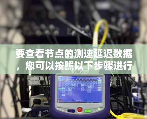 要查看节点的测速延迟数据，您可以按照以下步骤进行操作