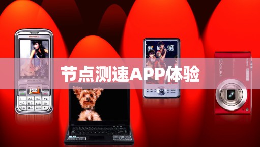 节点测速APP体验