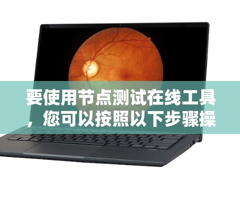 要使用节点测试在线工具,您可以按照以下步骤操作 要使用节点测试在线工具,您可以按照以下步骤操作