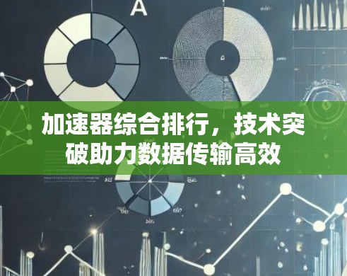 加速器综合排行，技术突破助力数据传输高效