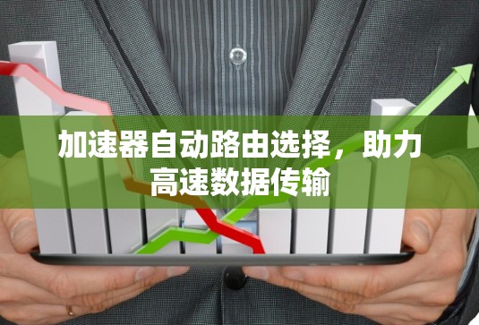 加速器自动路由选择，助力高速数据传输