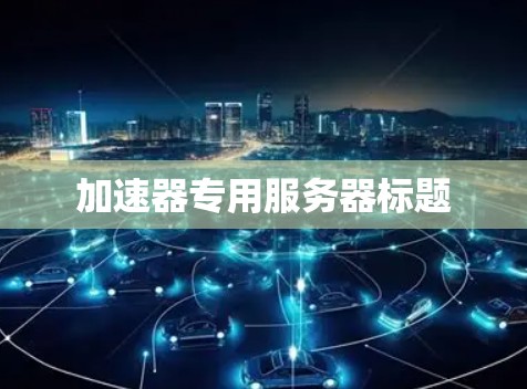 加速器专用服务器标题 加速器专用服务器标题