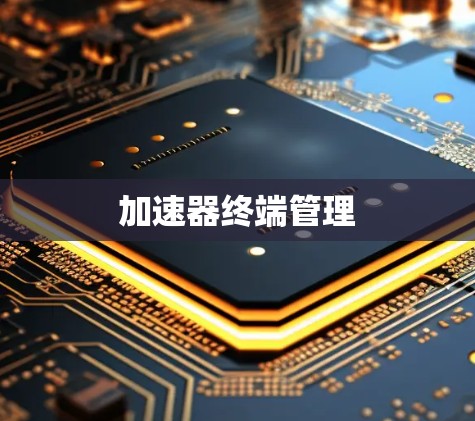 加速器终端管理