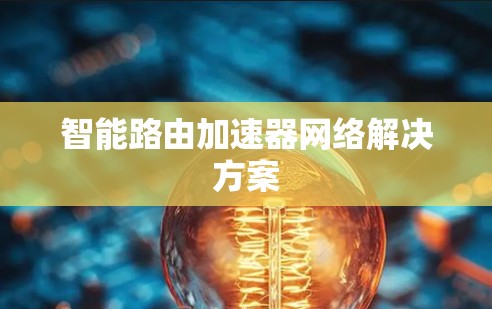 智能路由加速器网络解决方案