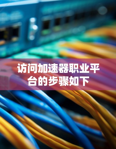 访问加速器职业平台的步骤如下