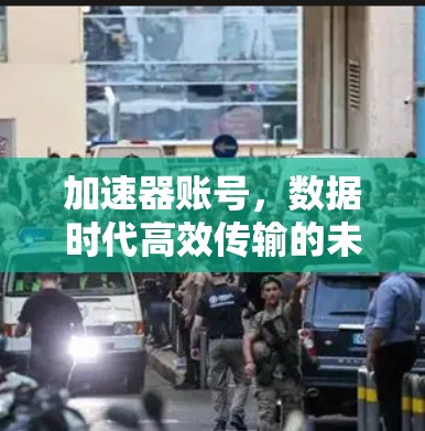 加速器账号,数据时代高效传输的未来 加速器账号,数据时代高效传输的未来