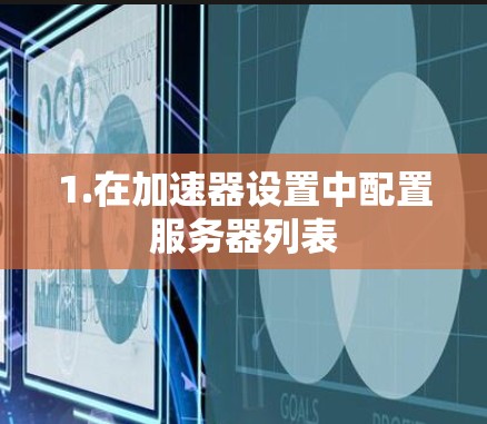 1.在加速器设置中配置服务器列表 1.在加速器设置中配置服务器列表