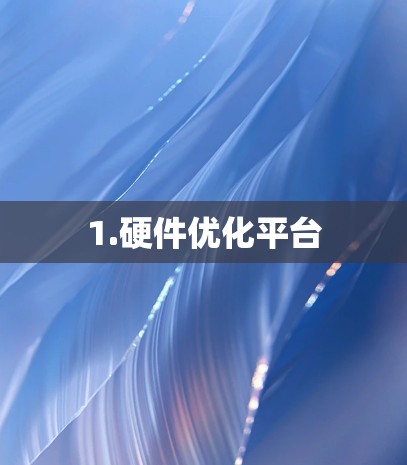 1.硬件优化平台 1.硬件优化平台