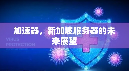 加速器，新加坡服务器的未来展望