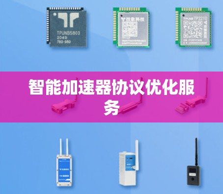 智能加速器协议优化服务 智能加速器协议优化服务