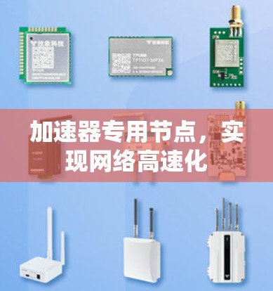 加速器专用节点,实现网络高速化 加速器专用节点,实现网络高速化