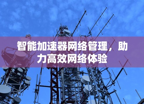 智能加速器网络管理，助力高效网络体验